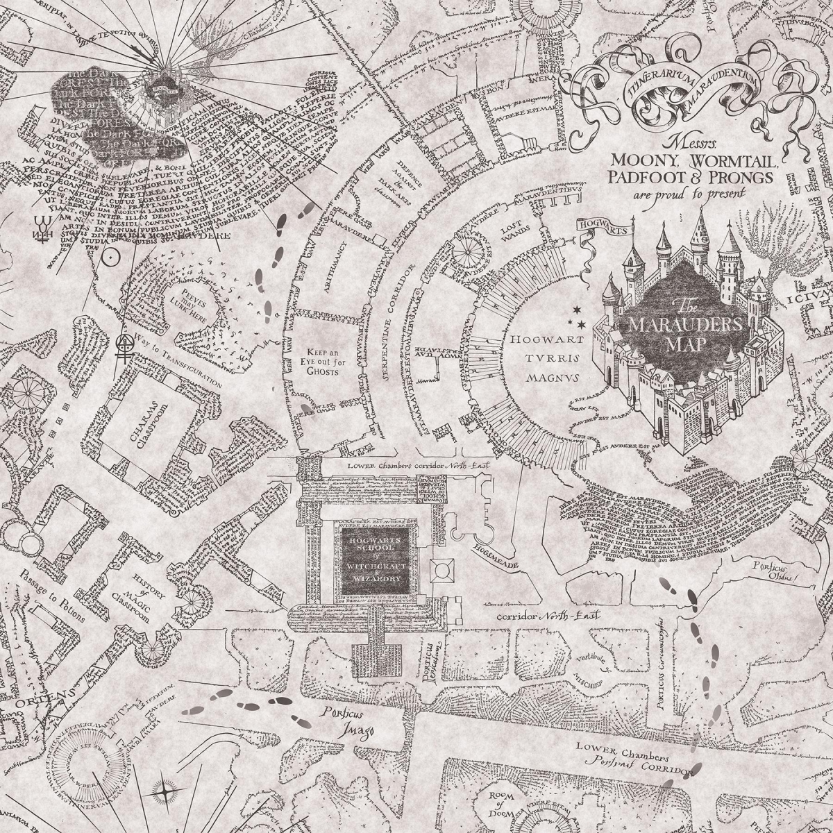 What is the name of the map made by Remus Lupin (Moony), Peter Pettigrew (Wormtail), Sirius Black (Padfoot), and James …