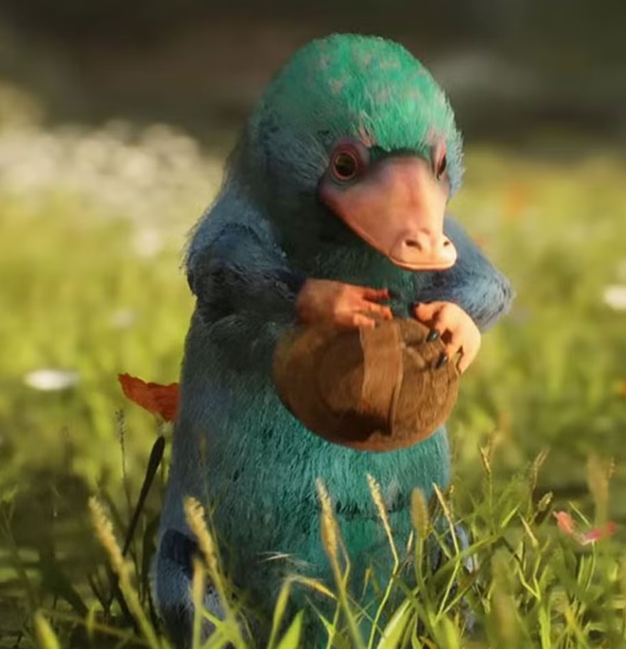 What animal is on the picture?