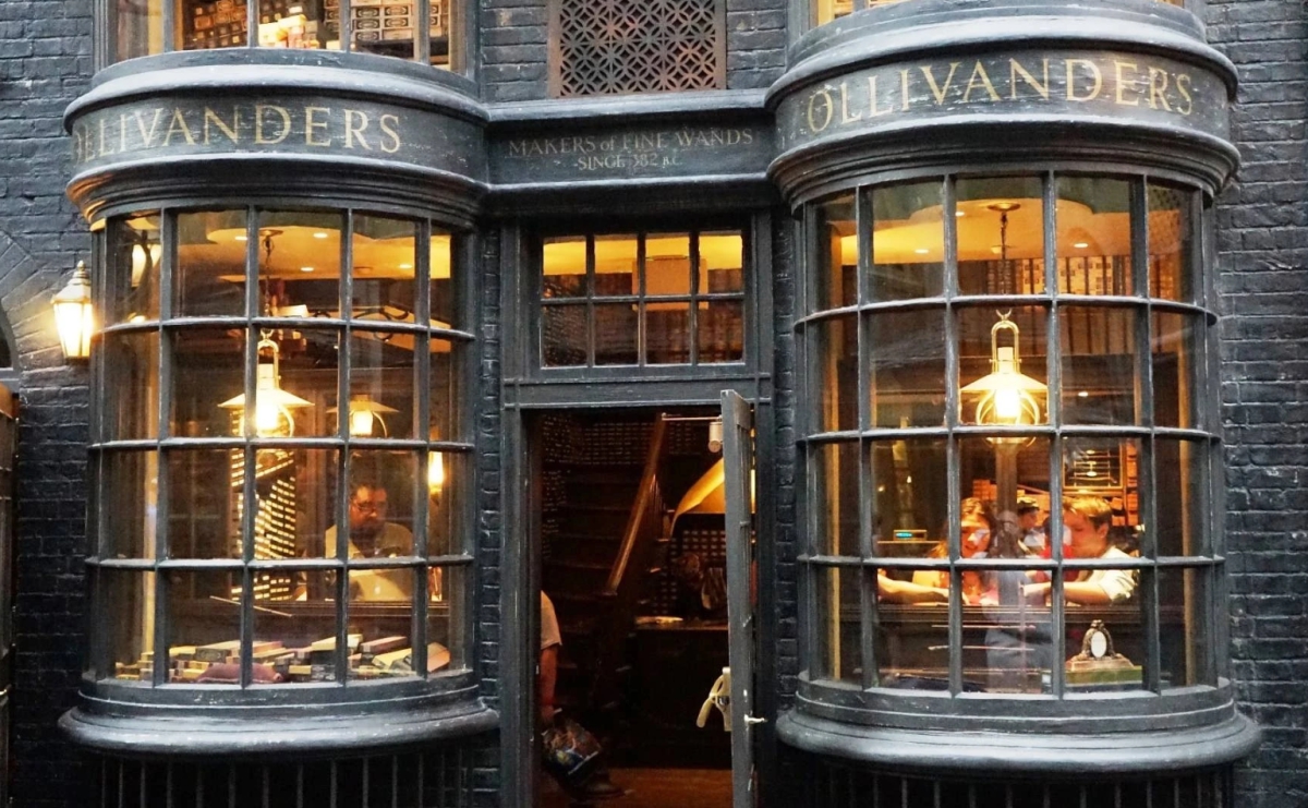 What did Harry Potter and Voldemort´s wand have in common?