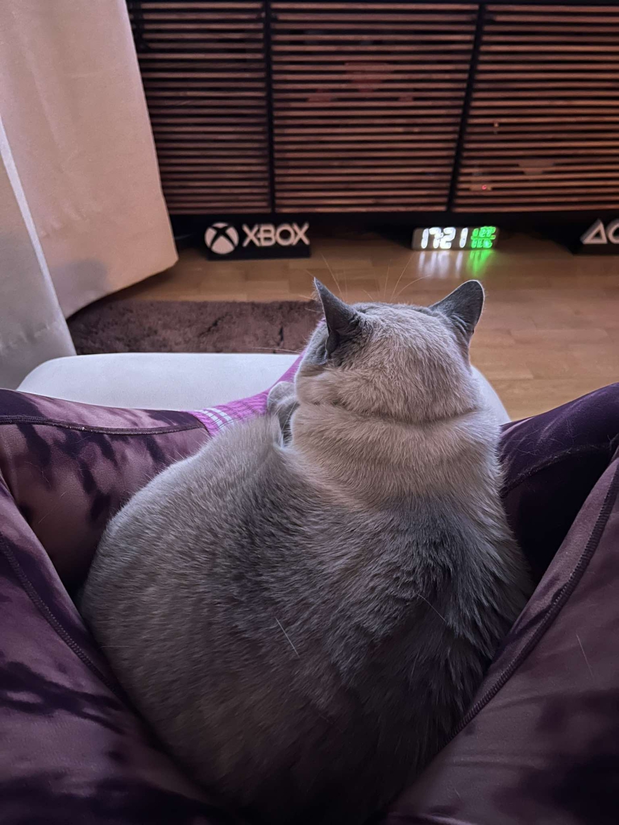 What is Karin´s cat name?