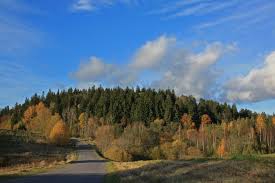 What is the biggest hill in Estonia?
