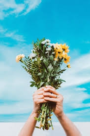 What is Estonian national flower?